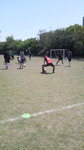 2009050611170000.jpg