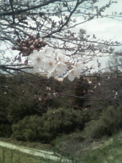 200803281319000.jpg