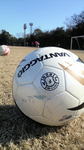 2009010412150000.jpg